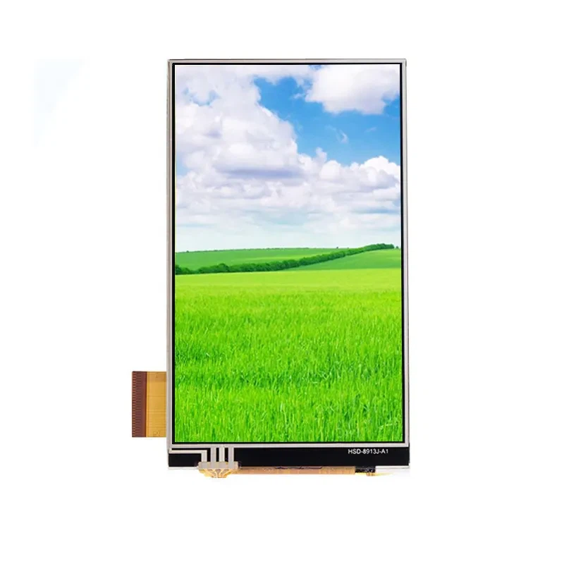10.1 Inch Mipi Dsi Interface IPS TFT LCD Module Touch Screen Panel Display