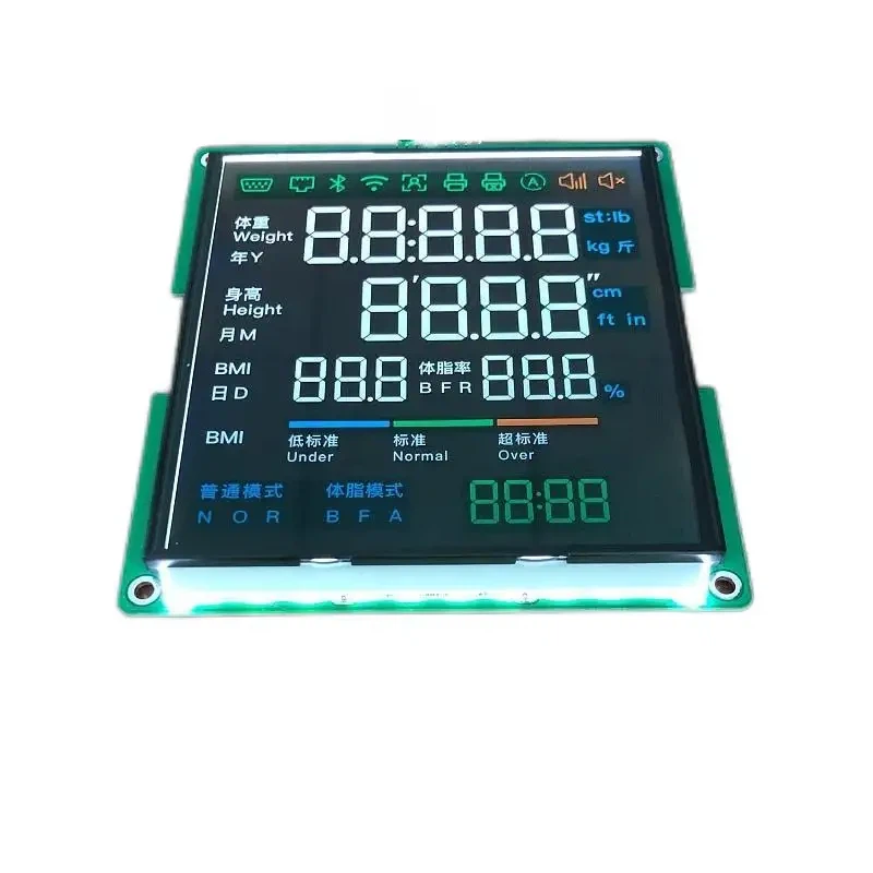 Digital LCD Display Custom Segment For Weighing Scales